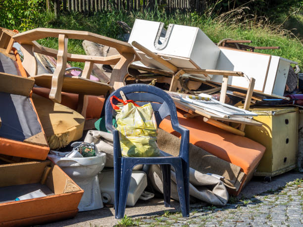 Best Yard Cleanup Services  in Mclean, VA